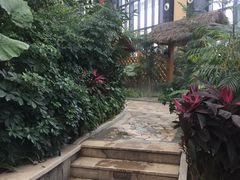 -郑州银基黄帝宫御温泉