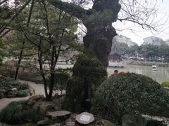 -汇龙潭