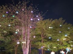 -深圳湾公园(南山区)