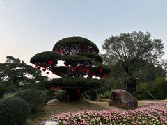 -南宁南湖公园
