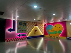 -上海浦东国际机场-T2航站楼