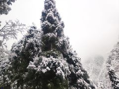 -九峰山