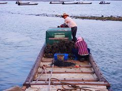 景观位-蚝乡农庄(铁涌赤岸店)