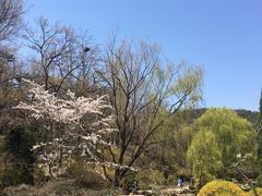 -棒棰岛宾馆景区