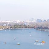 不负春日好时光[鸭子][玫瑰]