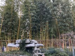 -个园