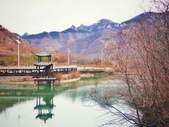 -黄花溪