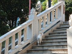 -莆田湄洲妈祖祖庙