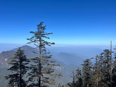 -瓦屋山景区