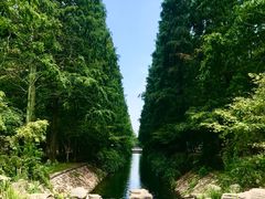 -东平国家森林公园