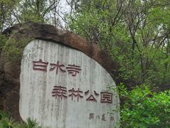 -白水寺森林公园