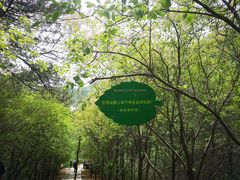 -京东石林峡风景区