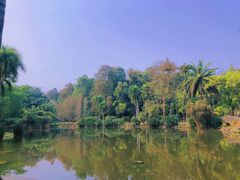 -中国科学院西双版纳热带植物园