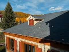 -喀纳斯鸿福生态度假酒店