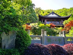 -十八棵（老龙井）御茶园(老龙井店)