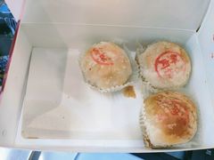 鲜肉月饼-沈大成(南京东路店)