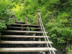 -苏木山森林公园