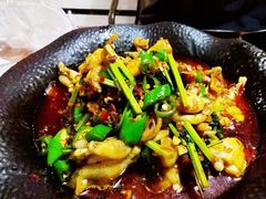 传统麻辣干锅牛蛙-91小龙虾·香辣蛙(蛇口店)