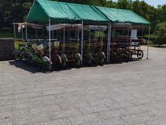 -尚贤河湿地