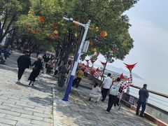 -巢湖姥山岛
