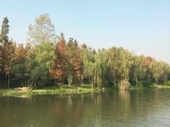 -新江湾城公园