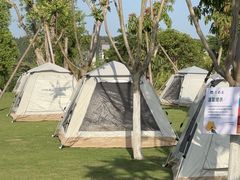 -洋洋广场(南街店)