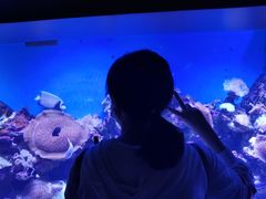 -泉城欧乐堡海洋极地世界