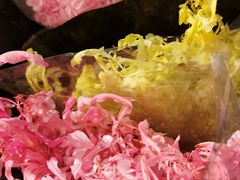 -三圣花乡旅游区