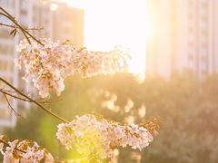 -红星桥(地铁站)