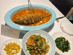 -阿五黄河大鲤鱼(纬三路店)