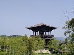 -大唐贡茶院