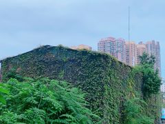 -顺峰山公园