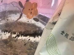 -张一元(世纪金源购物中心东区店)