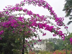 -广东外语外贸大学(白云山校区)