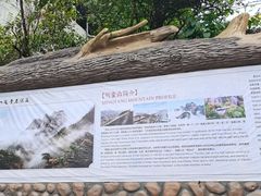 -明堂山风景区