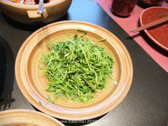 -纯阳•六两酒馆