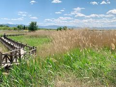 -野鸭湖国家湿地公园