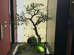 -湘上湘(正大中心总店)