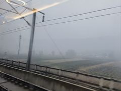-都江堰石锅鱼