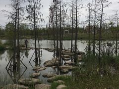 -上海长兴岛郊野公园