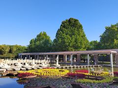 -石家庄市植物园