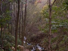 -秦岭风景区