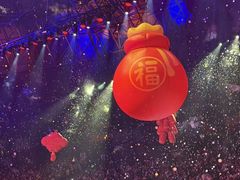 -广州长隆国际大马戏