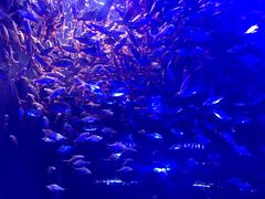 -成都浩海立方海洋公园