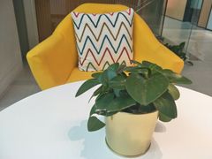 -同步齿科·数字化正畸种植口腔中心(珠海店)