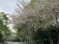 -杭州城北体育公园