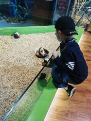 -未来动物城动物主题公园(大悦城店)