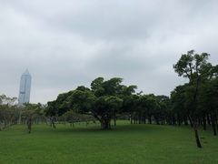 -万绿园