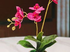 -酒蜻蜓·庭院私房菜(天元东路店)