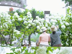 -大龙山(地铁站)